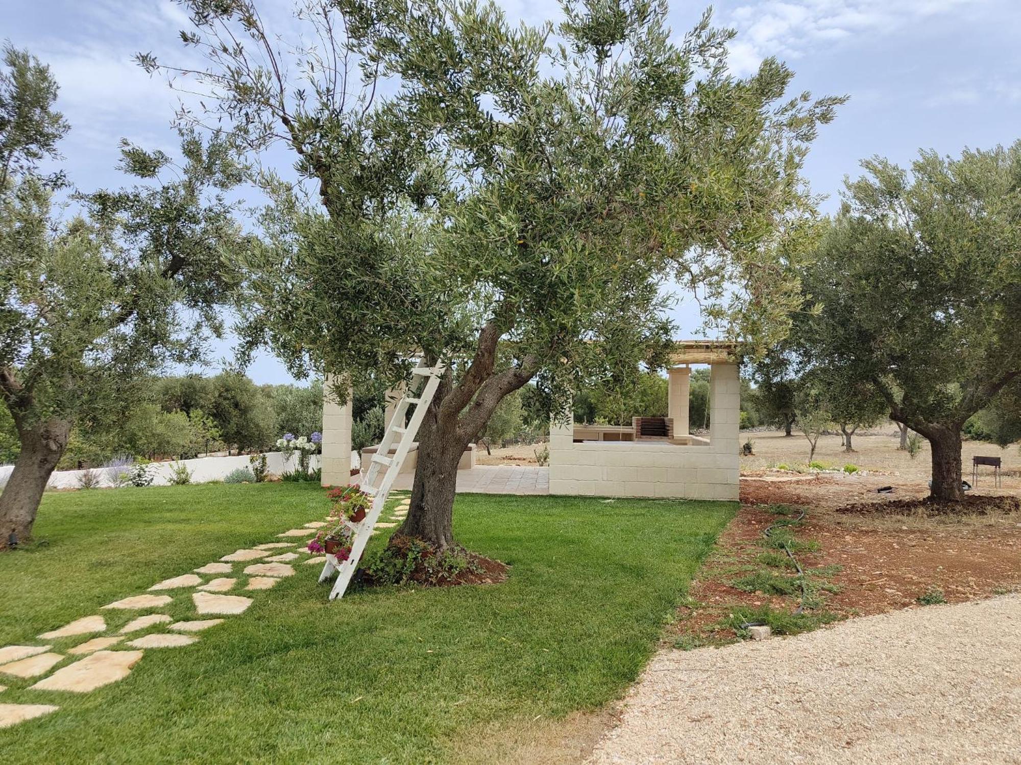 Dimora Stune Hotell Ostuni Exteriör bild